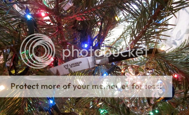 IMG_4277.jpg~original