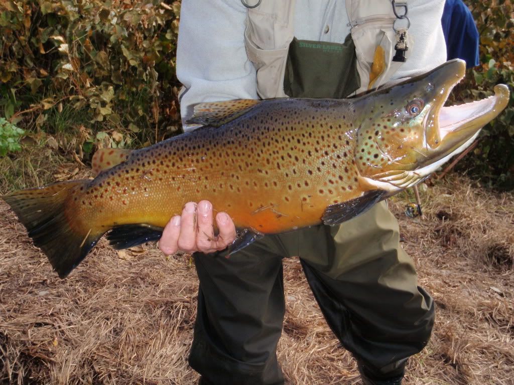 PA210384.jpg
