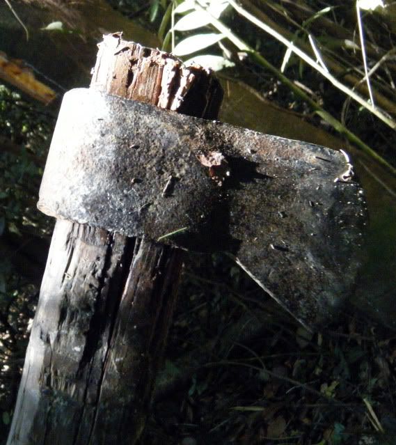DSCF1717.jpg