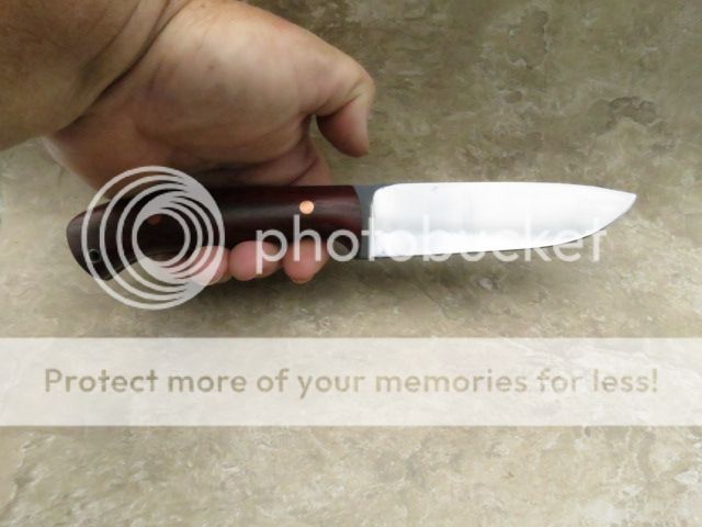 IMG_1633_zps9e96fd3a.jpg