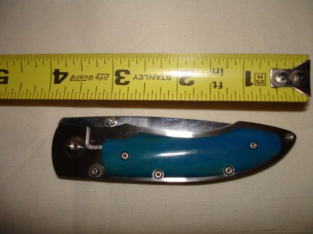 DSC01368.jpg