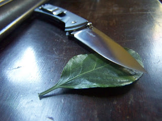 103_7406.JPG