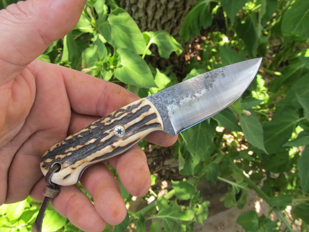 Miserywhipstag010.jpg