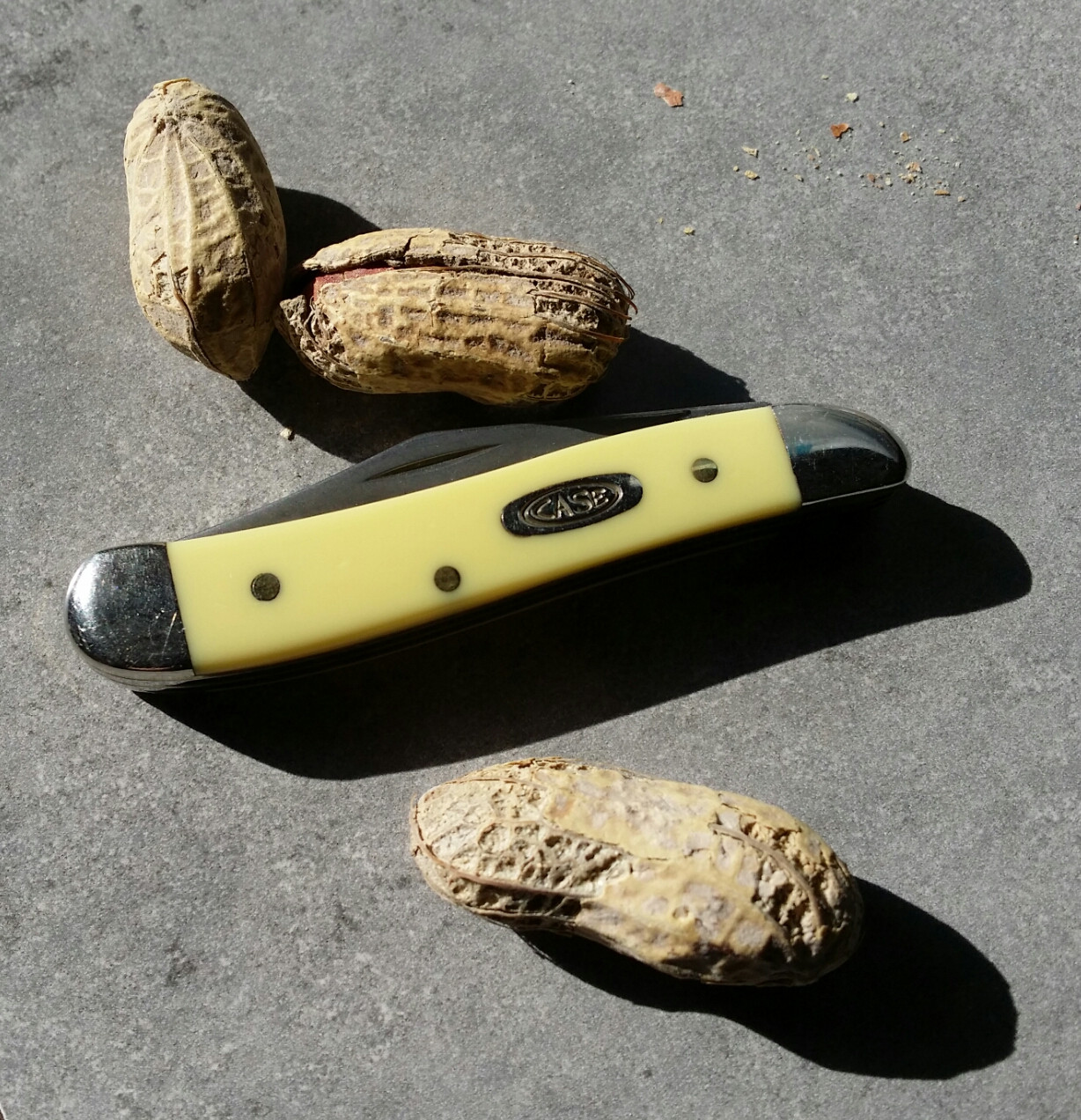 InTUhIP.jpg