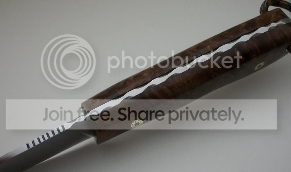 REDWOOD1095068.jpg