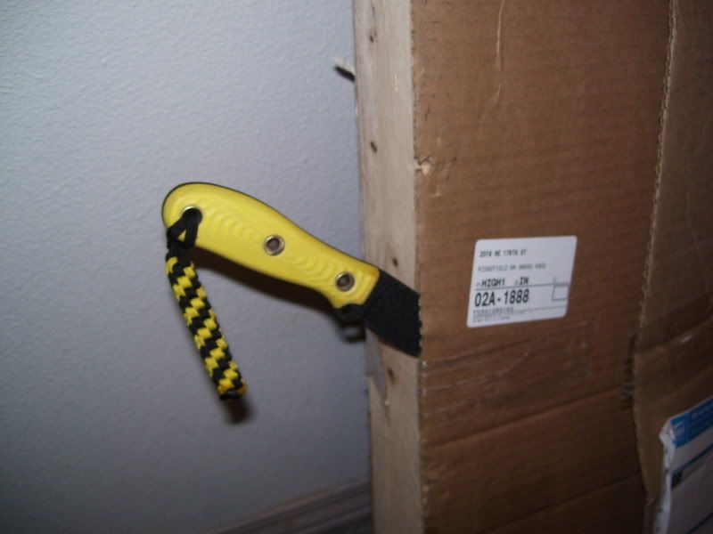 Picture003.jpg