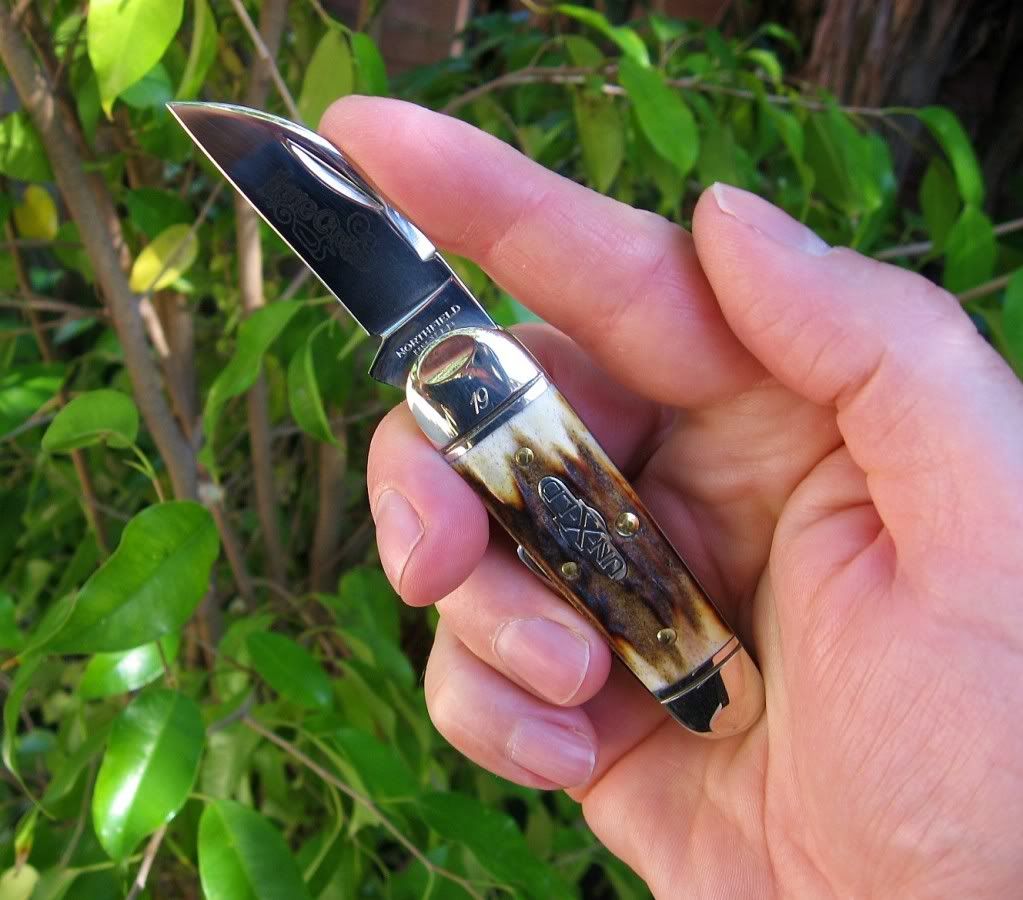 GEC26Sleeveboard09.jpg