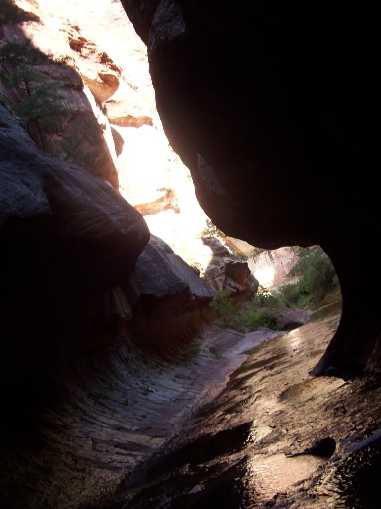 100_1695.jpg