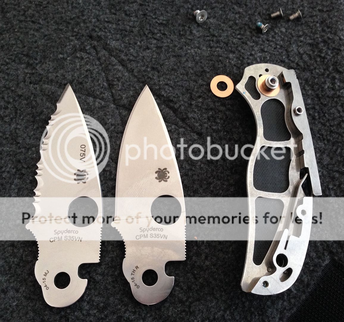 IMG_8257_zpstk7h4bee.jpg