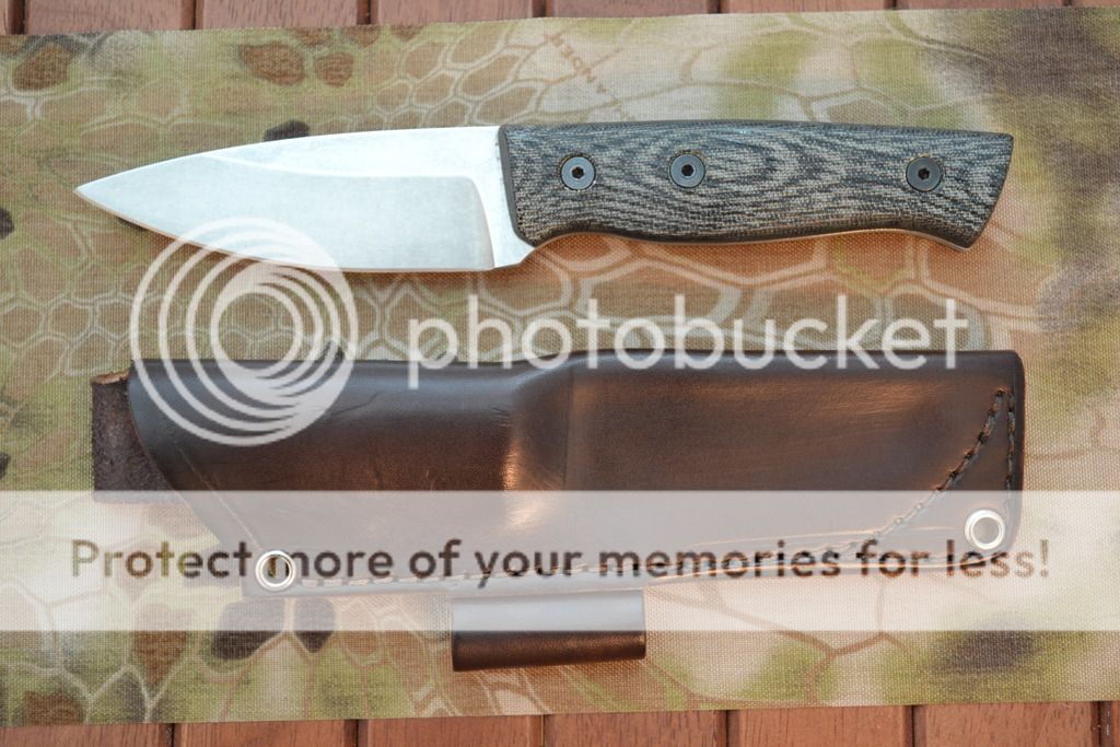 DSC_0135_zpsheimwrsi.jpg