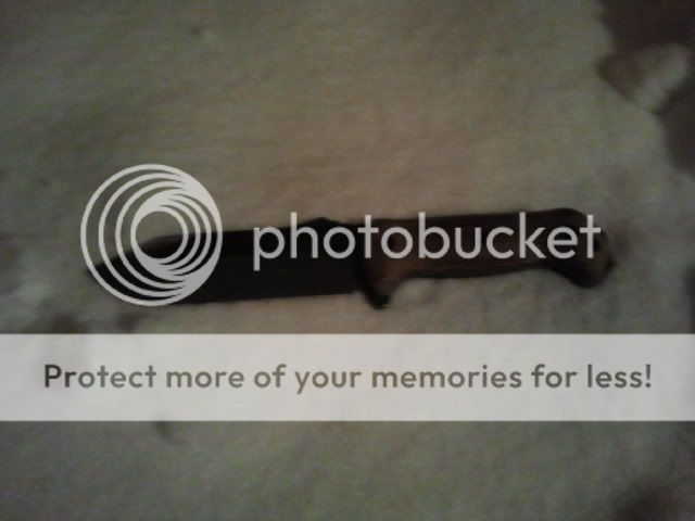2012-02-20231813.jpg