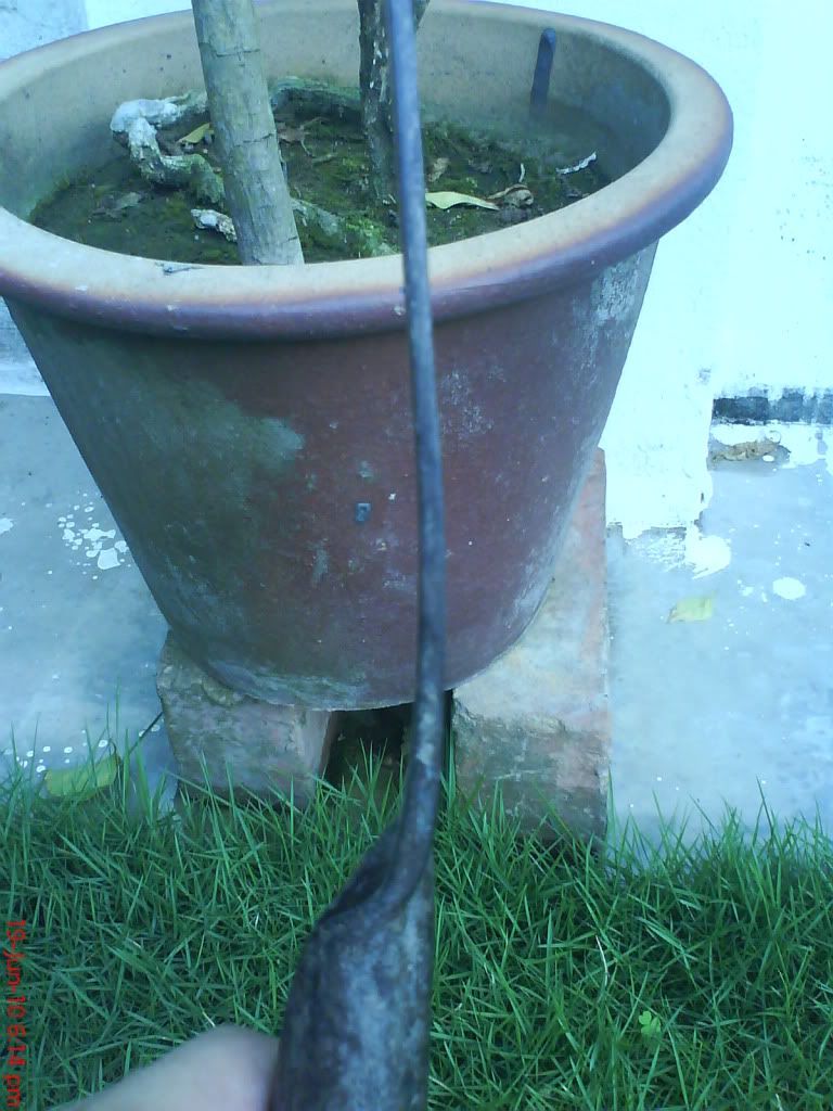 DSC01431.jpg