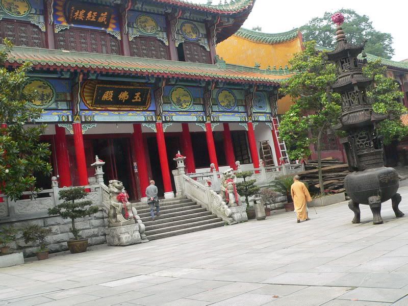 P1400648.jpg