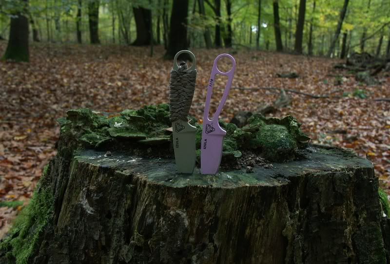 izula_forest.jpg