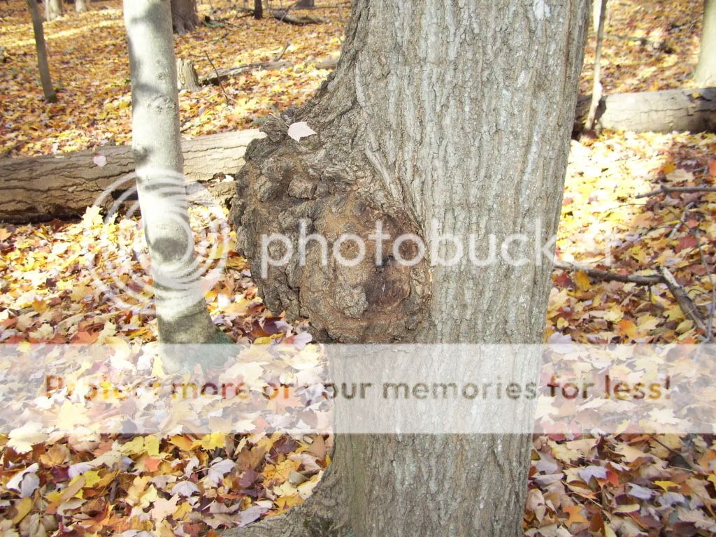 100_1653.jpg