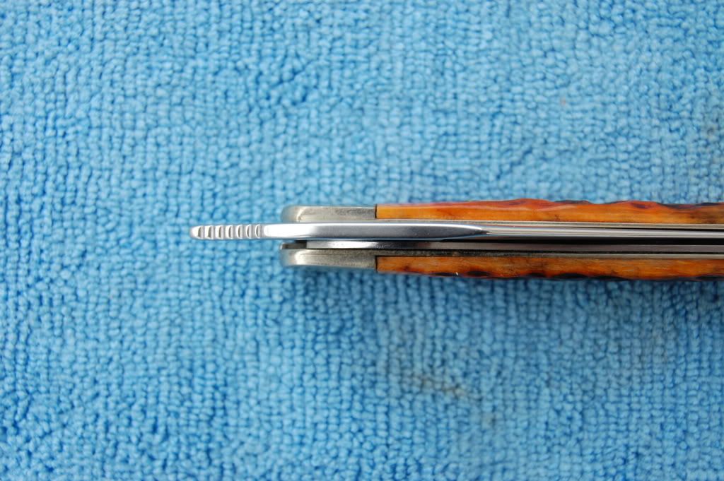 DSC_0006.jpg