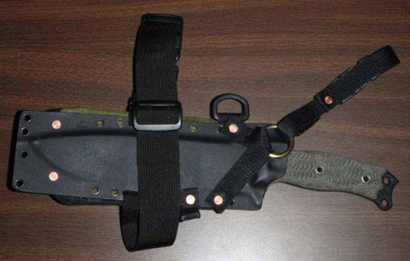 NMSFNO-Sheath2.jpg