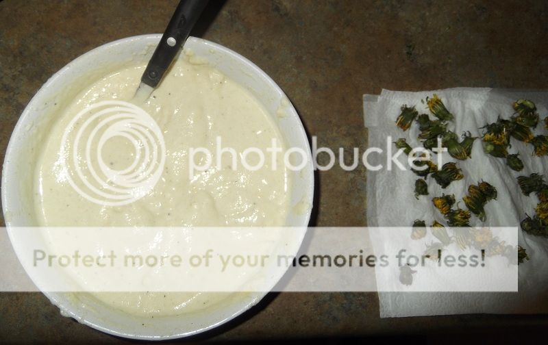 Dandelionbatter_zpsaa03c962.jpg