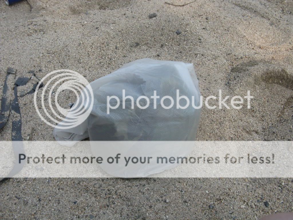 Picture184.jpg