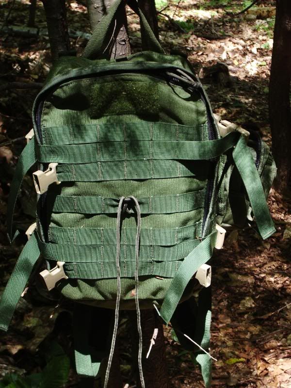 WLCAdvanced065.jpg