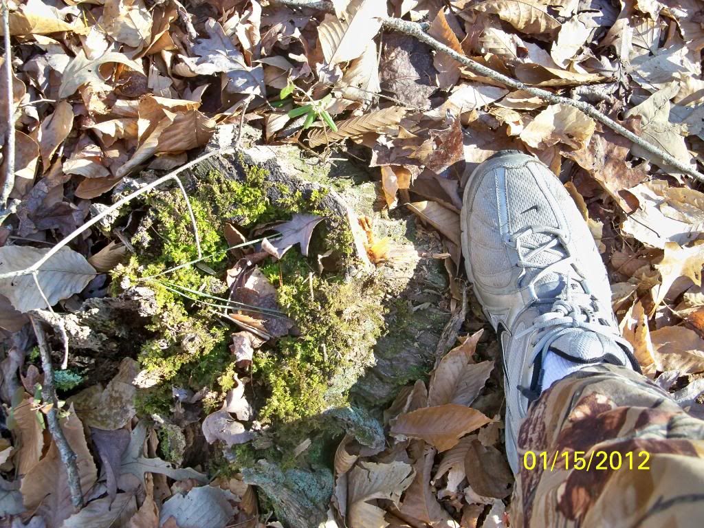 2012-01-15021.jpg