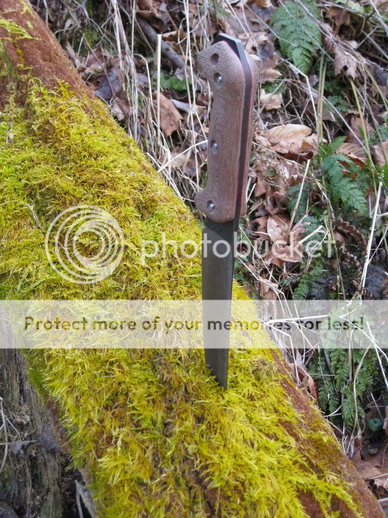 IMG_0718.jpg