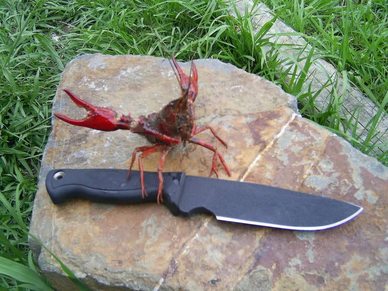 ebaypics579.jpg