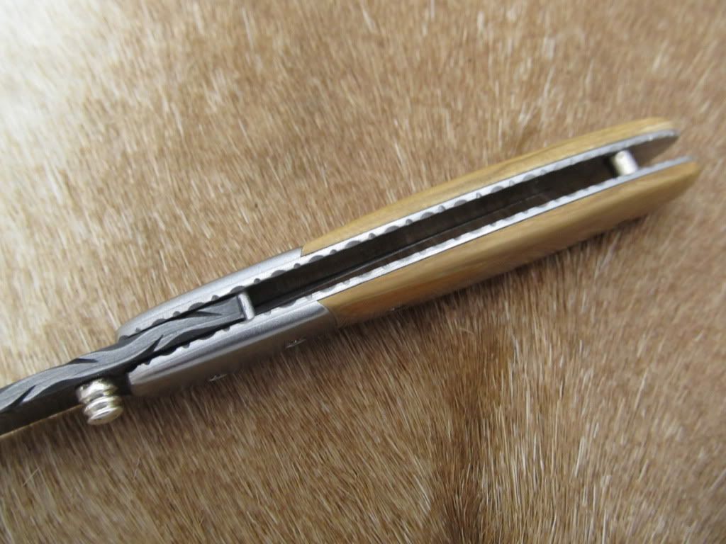mammothfolders027.jpg