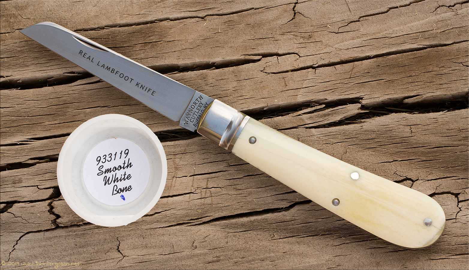 GEC93smoothwhitebone-1.jpg