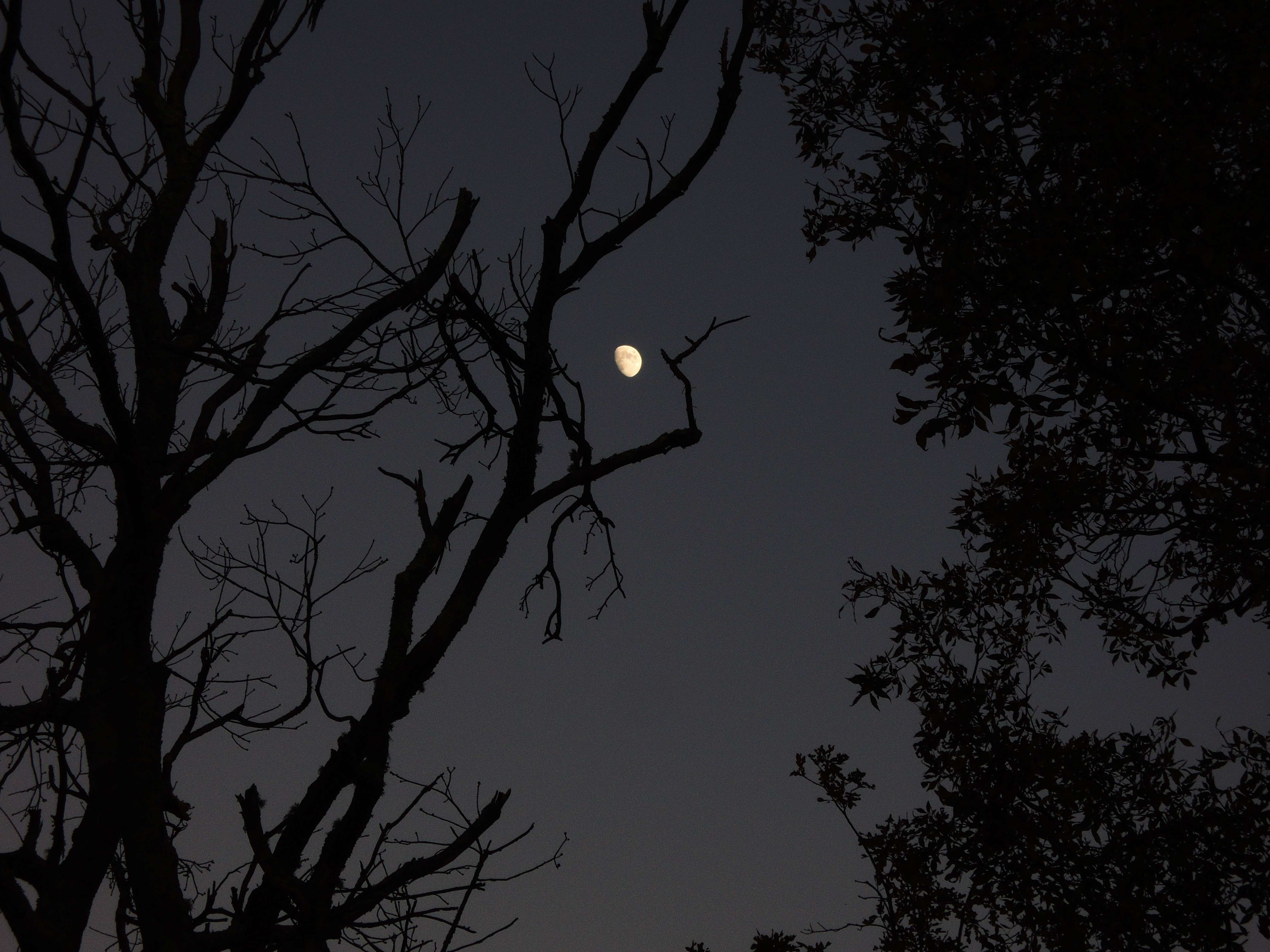 dscn2748i.jpg