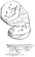 p196s.jpg