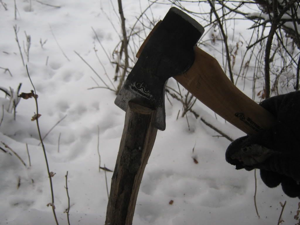 decemberbushcraft010.jpg