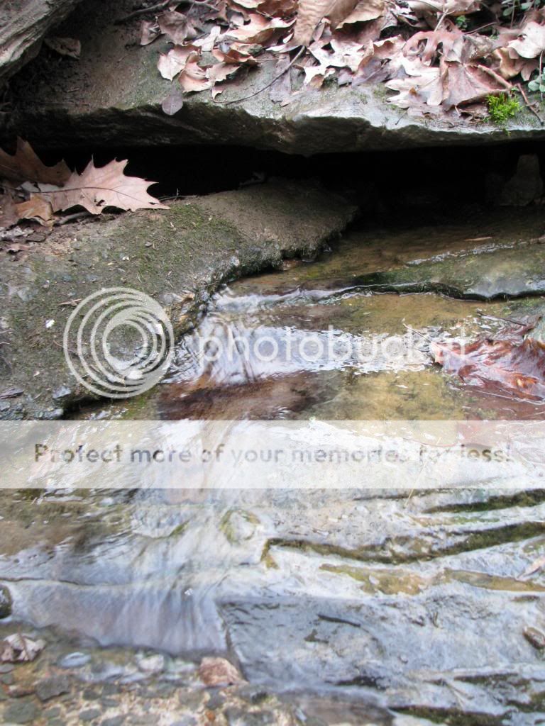 IMG_3375_zps068961d9.jpg
