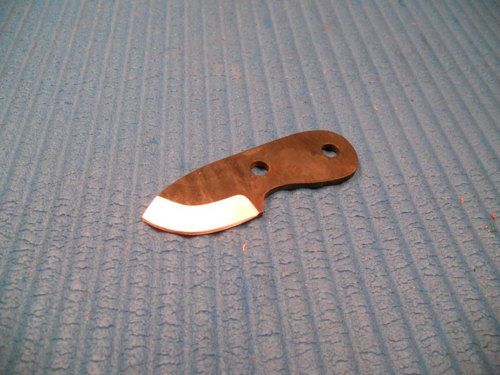 002-50.jpg