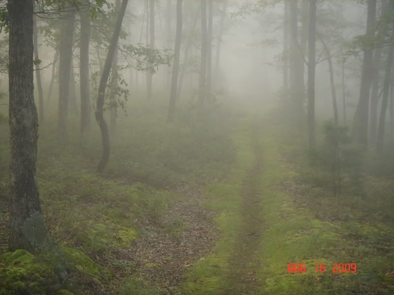 BFT090814090.jpg
