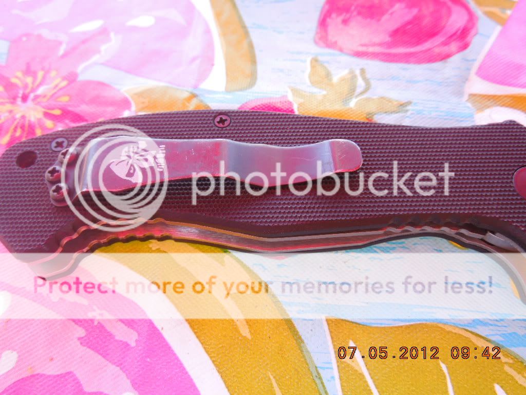 DSCN0508.jpg