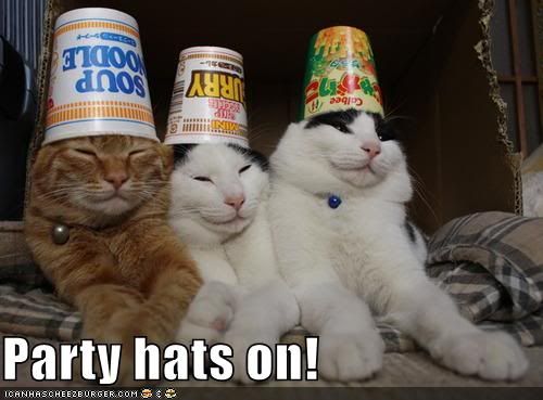 lolcat.jpg