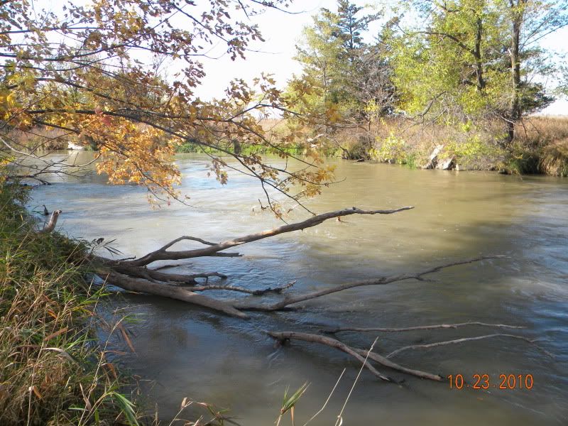 DSCN2964.jpg