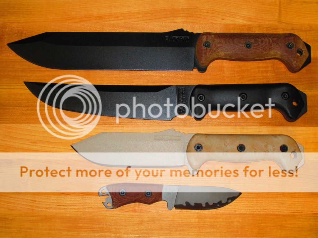 BeckerBK-5_v.jpg