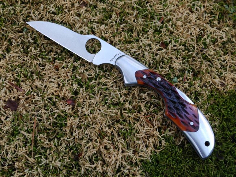 tk_ffg_kiwi_01.jpg