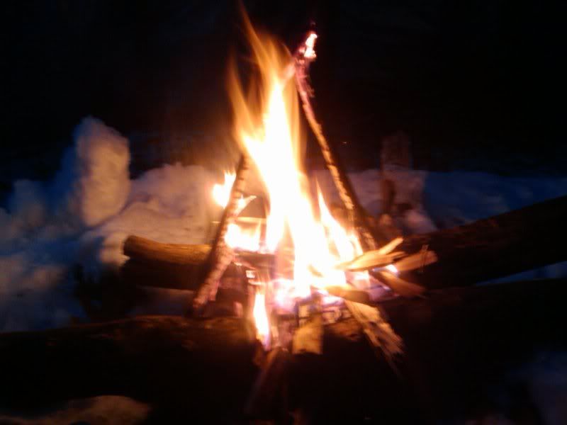 2011-02-03172219.jpg