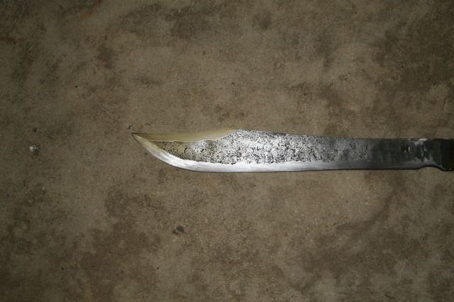 seal03.jpg