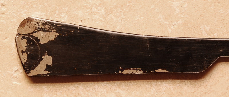 CamGuard5.JPG
