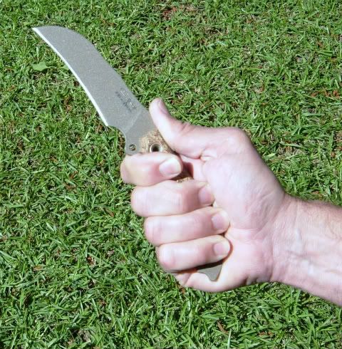 SUSScrofaSkyGrip-2.jpg