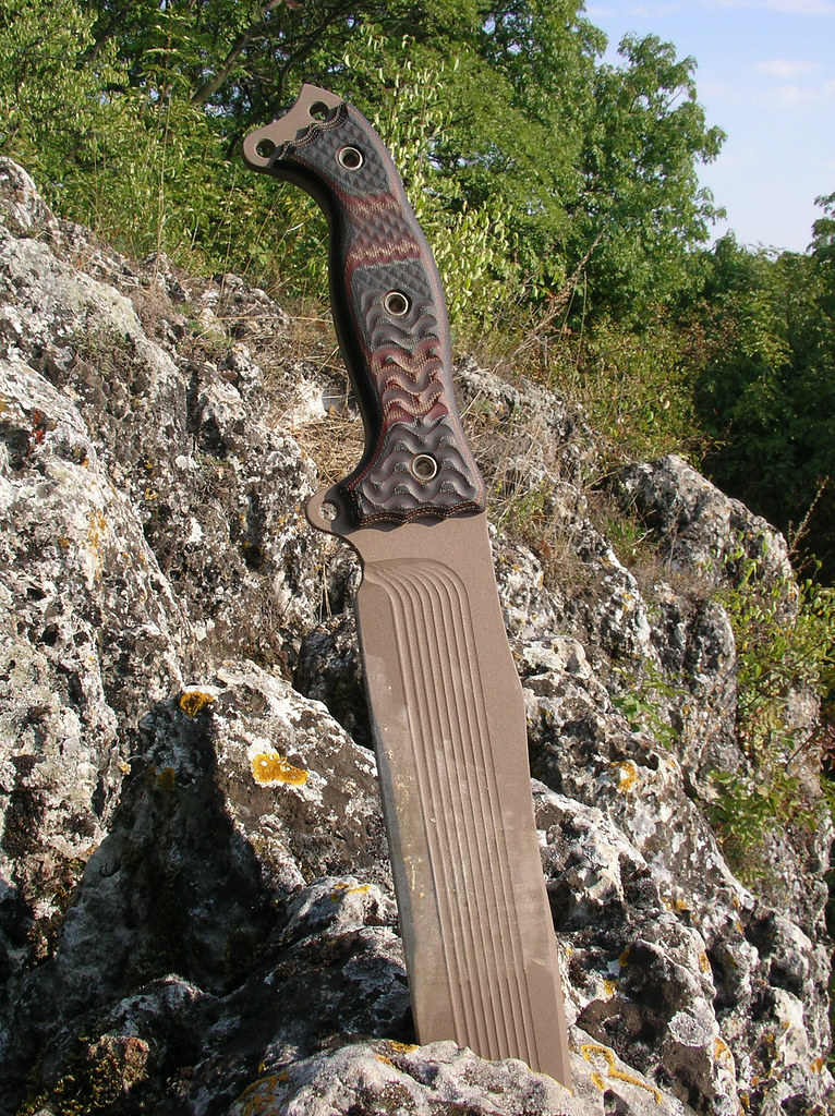 3917976652_54ac4ba292_b.jpg