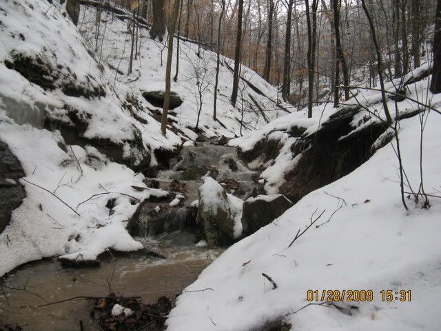 snowdayforthepets060.jpg