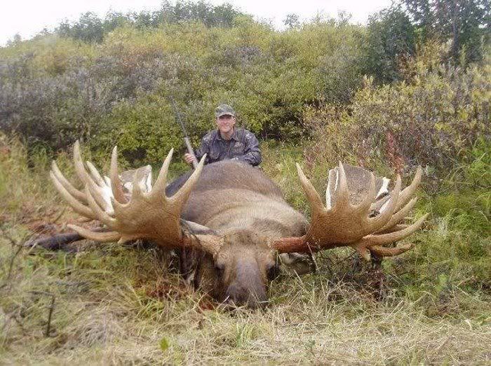bigbiggerbiggest01.jpg