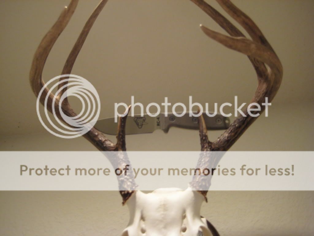 Pictures014.jpg