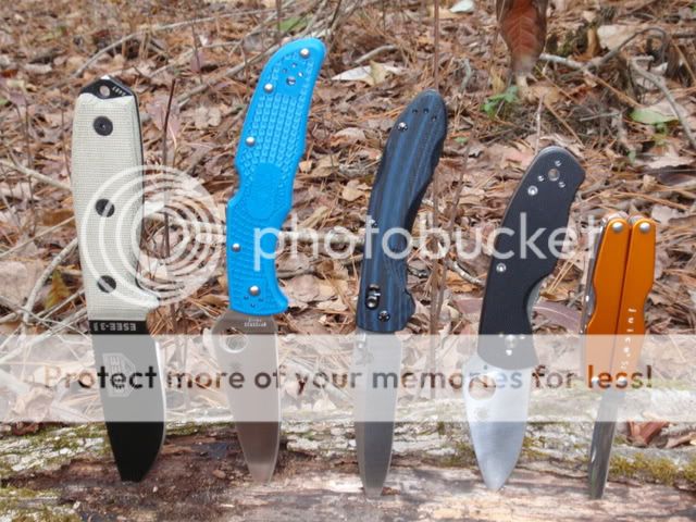 PC290031.jpg
