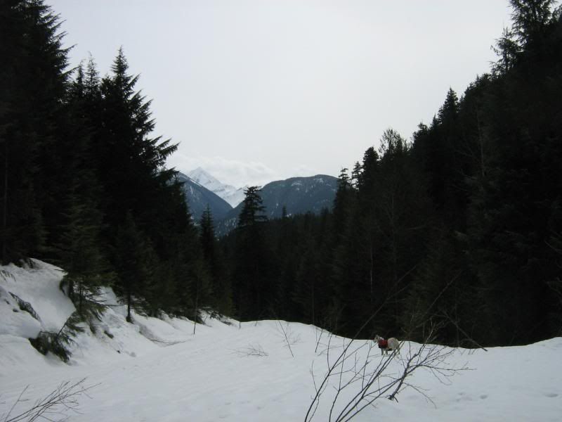 beaver2011017.jpg
